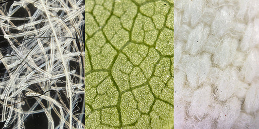 3 Ways to Explore the Hidden Wonders of Nature with the WonderScope™ Portable Kids Microscope